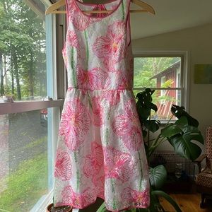 Lily Pulitzer Darcelle Dress in Clover cup size 2